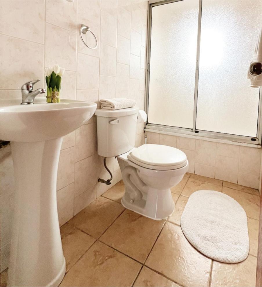 Hostal Feliza Valdivia Eksteriør bilde